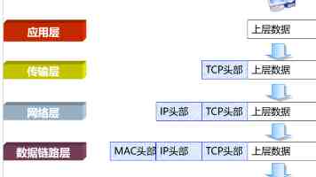 唐伯虎心糖冉冉学姐背景资料｜真名、走红原因与直播平台全介绍
