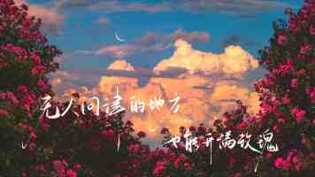 黄色软件vivo手机误装实录|识别、卸载与防护全流程