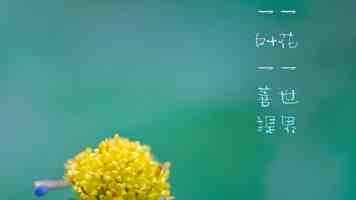 台湾各界举行“反霸凌、要保障”劳工大游行