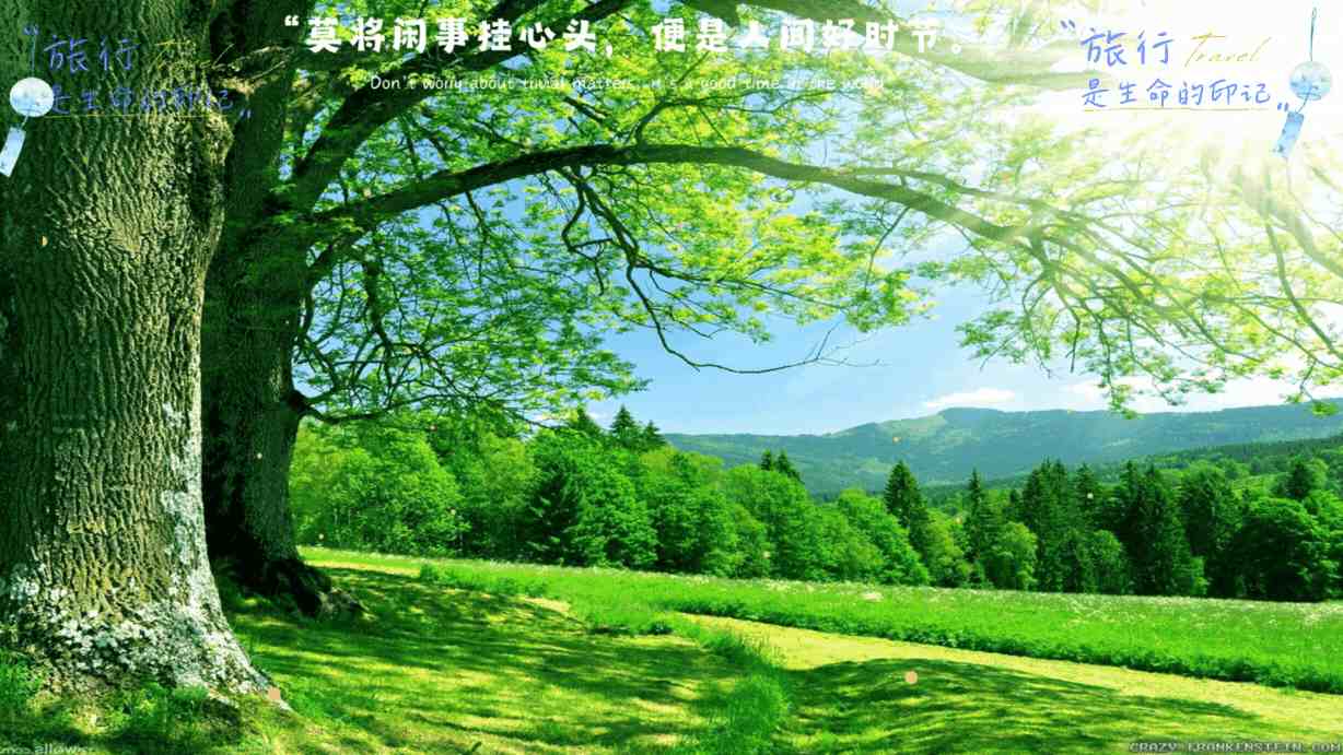 以过硬能力彰显自信风采