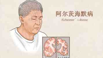 龙舟竞渡 “粽”情端午——台湾各地共庆传统佳节