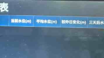 风与玲：致所有温柔的相遇与迟到的告别